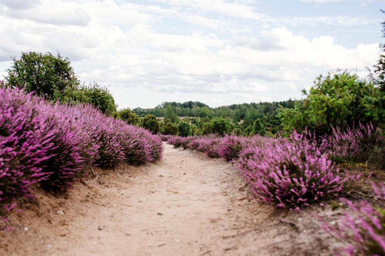 Waldhaus Emma Villa Suderburg ภายนอก รูปภาพ